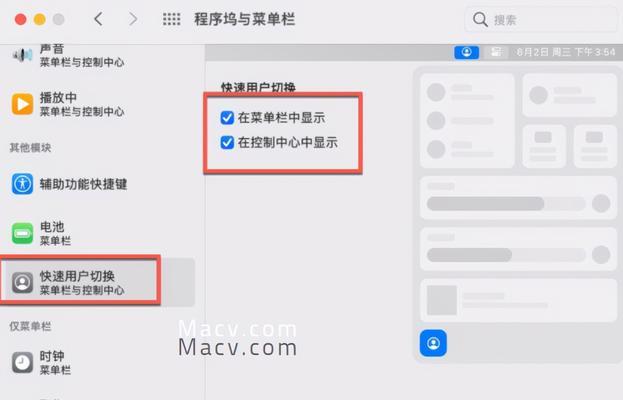 苹果信号图标主题定制之美(将苹果信号图标个性化,展现独特风采)