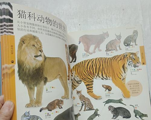 中国稀有动物的珍贵之旅(探索中国稀有动物世界的奇妙之旅)