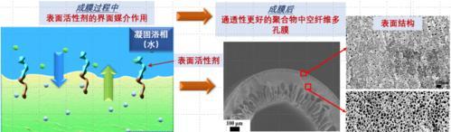 表面活性剂的广泛应用与作用（深入了解表面活性剂的重要性与应用领域）