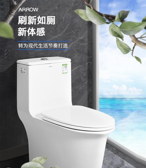 以箭牌马桶排水阀漏水主要原因(探究马桶排水阀漏水的原因和解决方法)