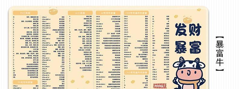 CAD命令快捷键大全（提高CAD操作效率的必备工具）