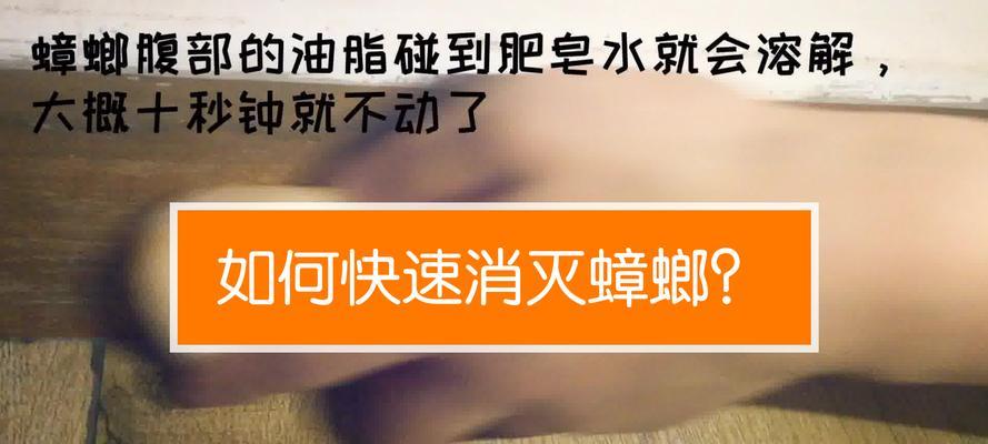 电饭煲蟑螂是怎么处理的（以简便有效方法消除电饭煲蟑螂）