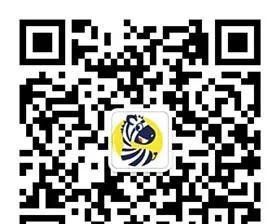 苹果gsx查询一般用哪个公众号？如何通过公众号进行苹果设备信息查询？