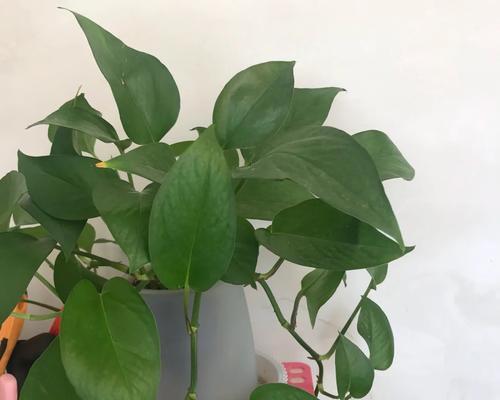 斯露德电脑配置是否值得购买？