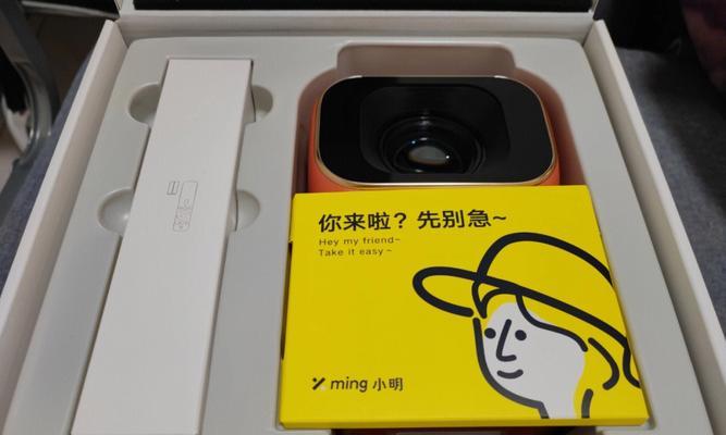 什么电瓶能带动投影仪?