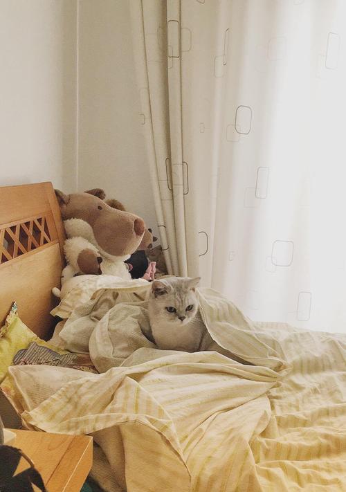 两个手机如何在被子里拍照？拍摄技巧是什么？