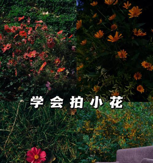 手机拍照如何使用摄影配件？有哪些使用技巧？